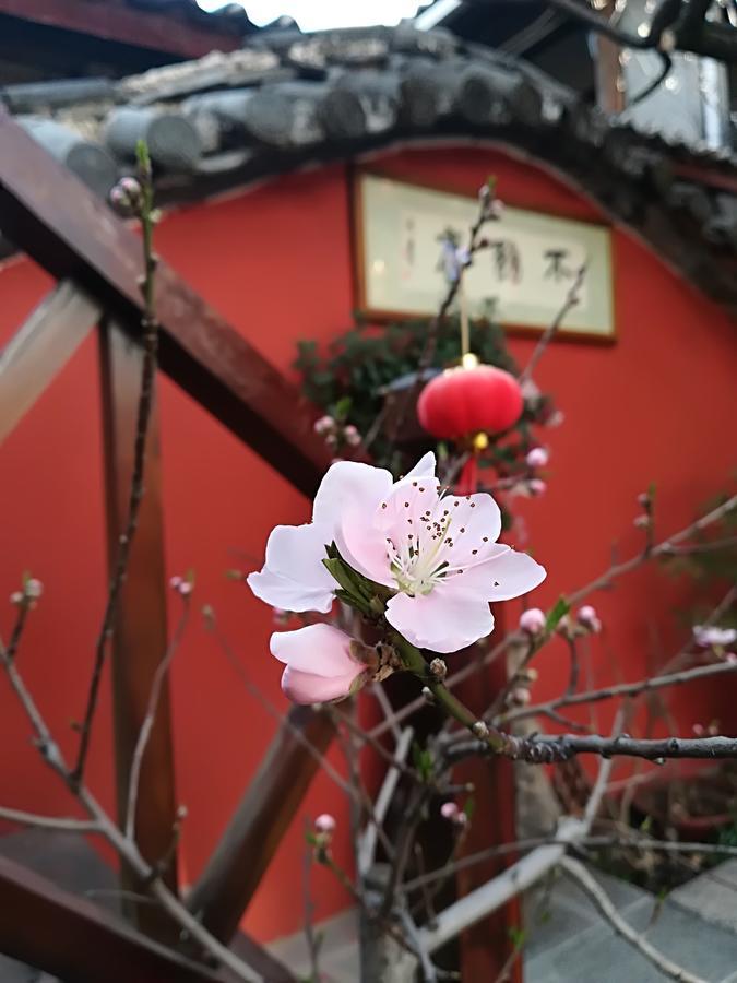 Lijiang Buwuzhai Inn Lijiang (Yunnan) Exterior foto